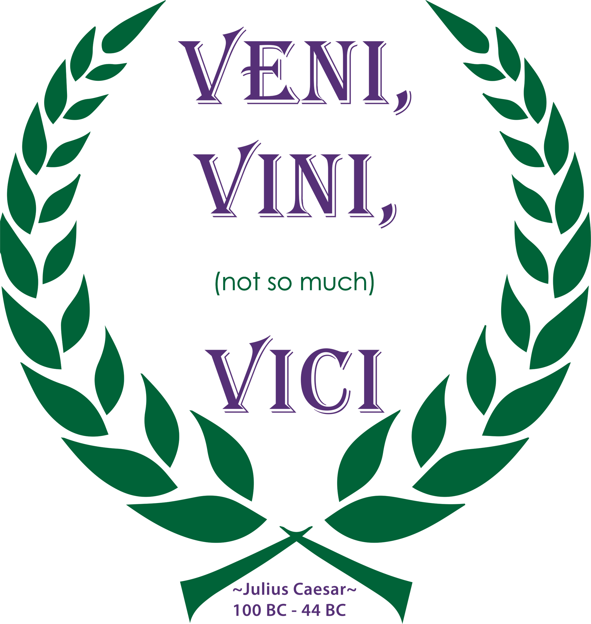Vini Vici - Veni Vidi Vici, Releases